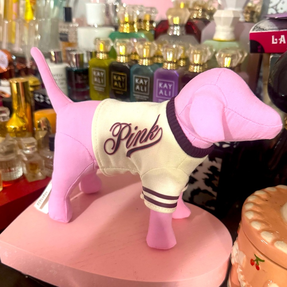 VS Pink Dog - Varsity Sweater!